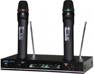 Wireless Mic-image