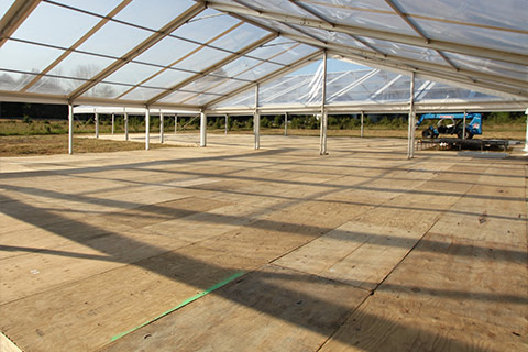 Tent Subfloor Plywood-image