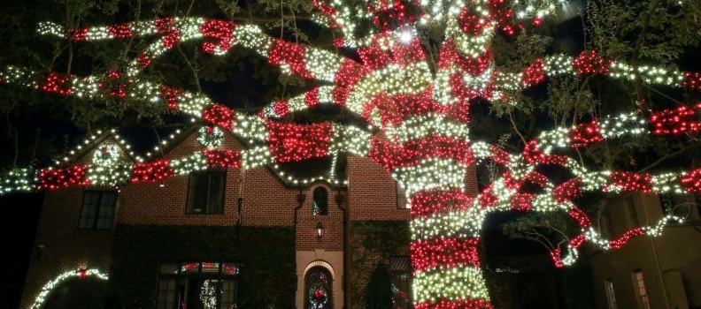 Tree Lighting Package